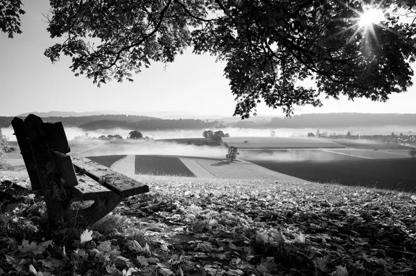 Autumn bench, Windlach