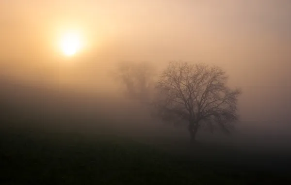 Barely there, Oberweningen