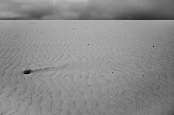 Dunes, La Oliva