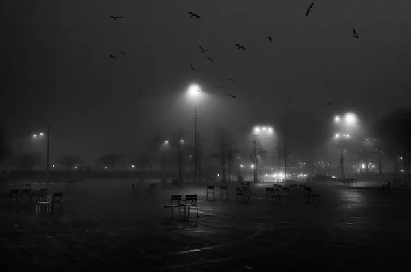 Empty in the fog, Zürich
