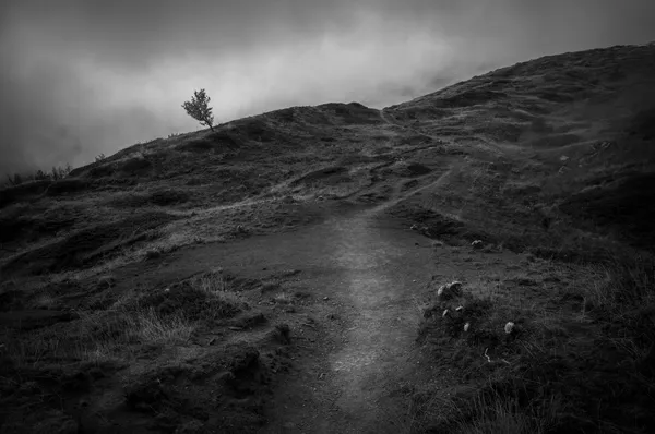 Path to nowhere, Cusna