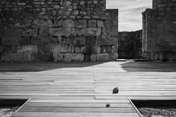 Stones, Córdoba