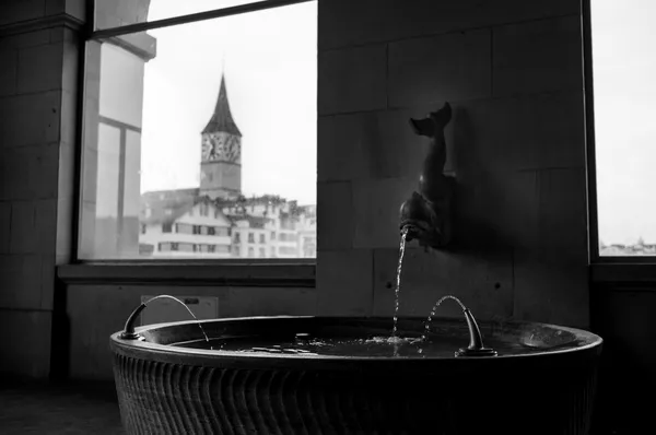 The fountain, Zürich