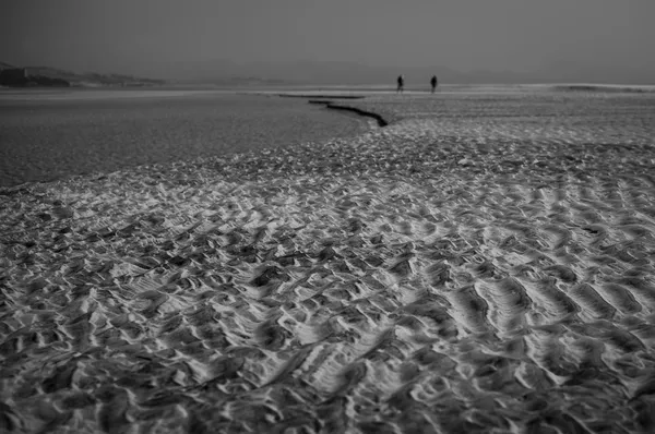 Waves, Pájara